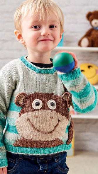 Little Monkey Sweater