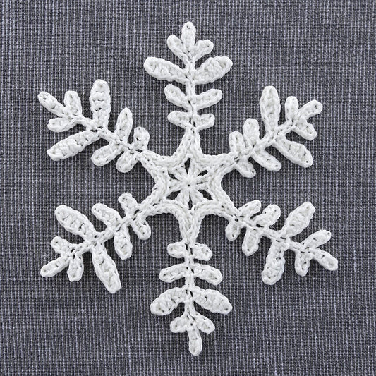 Sneeuwval 2024: In het bos