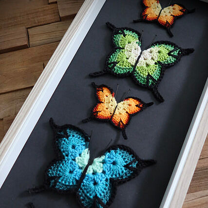 Study of Butterflies