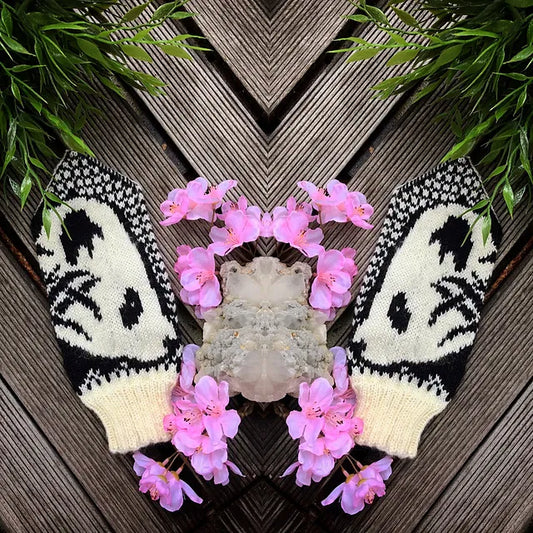 Da Xiong Mao Mittens