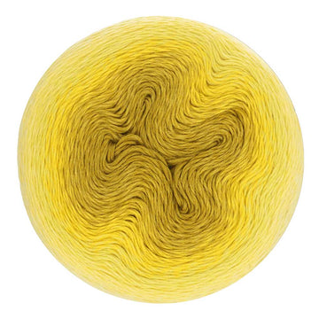 551 Daffodil Dolly - Ombré Collectie