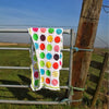 Spring Blanket