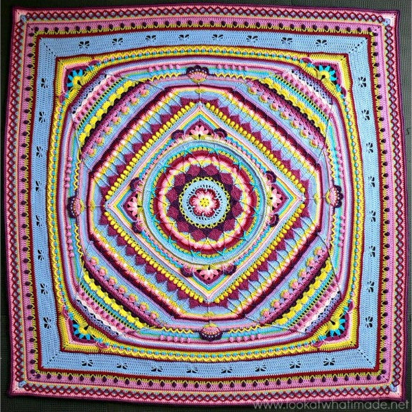 Sophie's Universum CAL