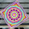Sophie's Universum CAL