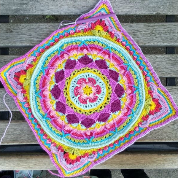 Sophie's Universum CAL