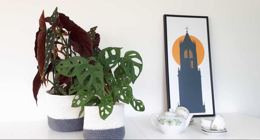 Crochet Plant Basket