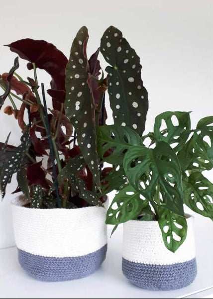 Crochet Plant Basket