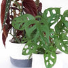 Crochet Plant Basket