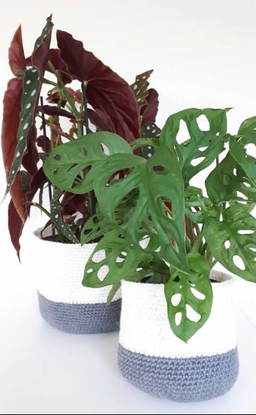Crochet Plant Basket