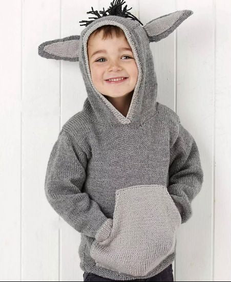 Little Donkey Hooded Sweater