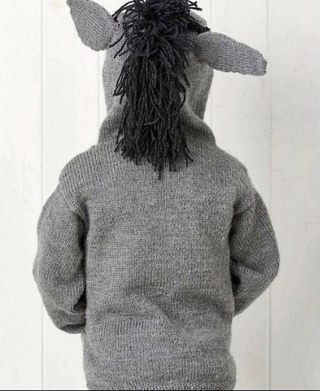 Little Donkey Hooded Sweater