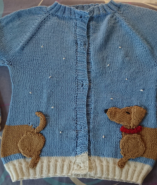 Dachshund in the Snow Cardigan Kids