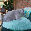 Momo Huisdierenbed
