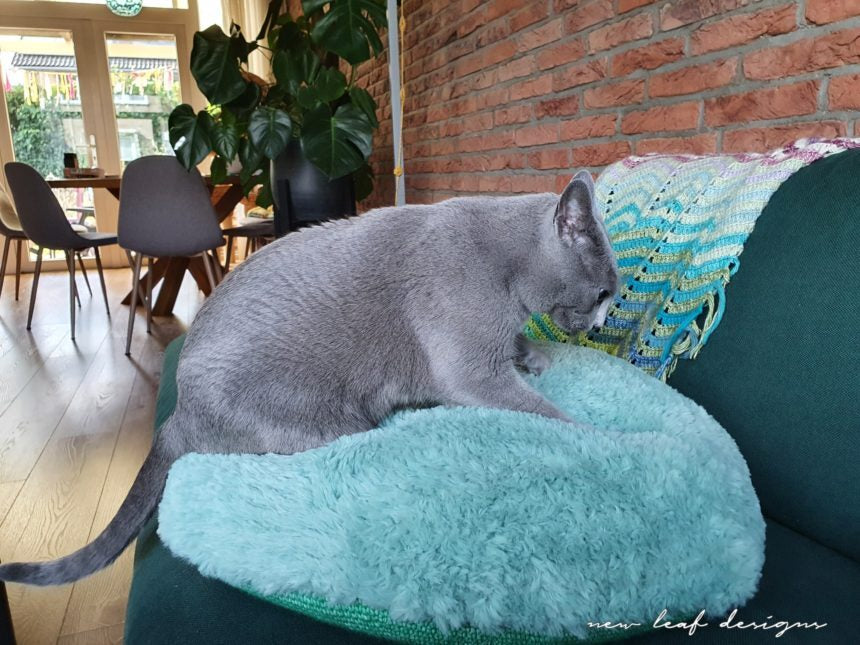 Momo Huisdierenbed