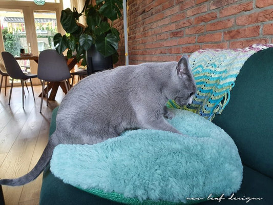 Momo Pet Bed