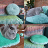 Momo Huisdierenbed