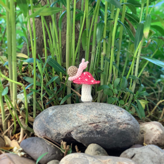 Apricot Fox and Jelly Snail