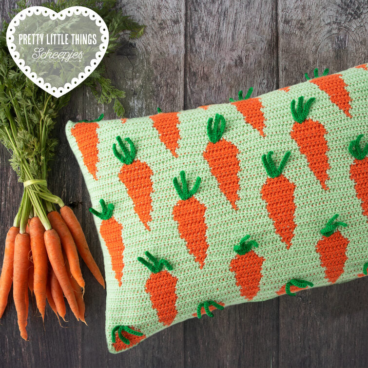 Pretty Little Things 19 - Carrot Cushion