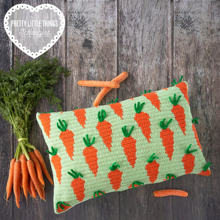 Pretty Little Things 19 - Carrot Cushion