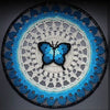 Morpho Mania