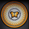 Morpho Mania