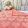 Baby Blanket Robin