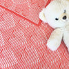 Baby Blanket Robin