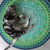 Indian Flower Rug