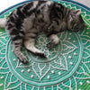 Indian Flower Rug