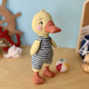 Webster the Duck