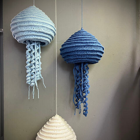 Jolly Jellyfish