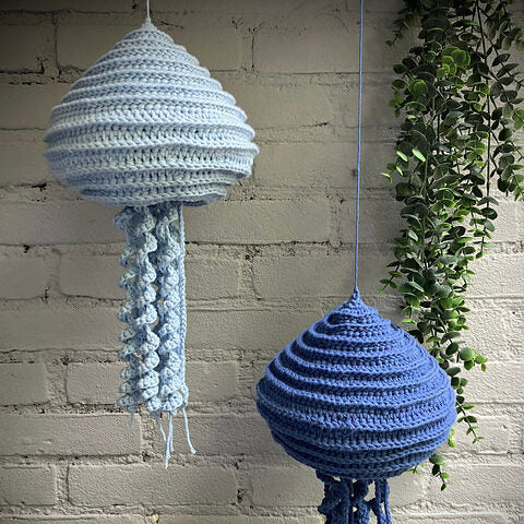 Jolly Jellyfish