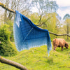 Ocean Deep Shawl