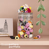 Sweet and Sugary Candy Jar