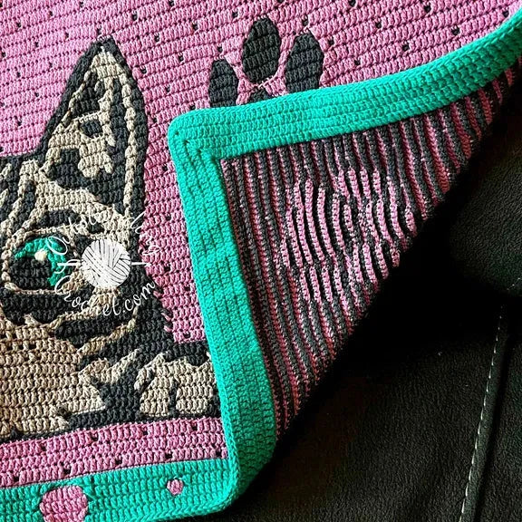 Babydekentje met glurende kat