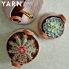 YARN 11 - Propagation Planters