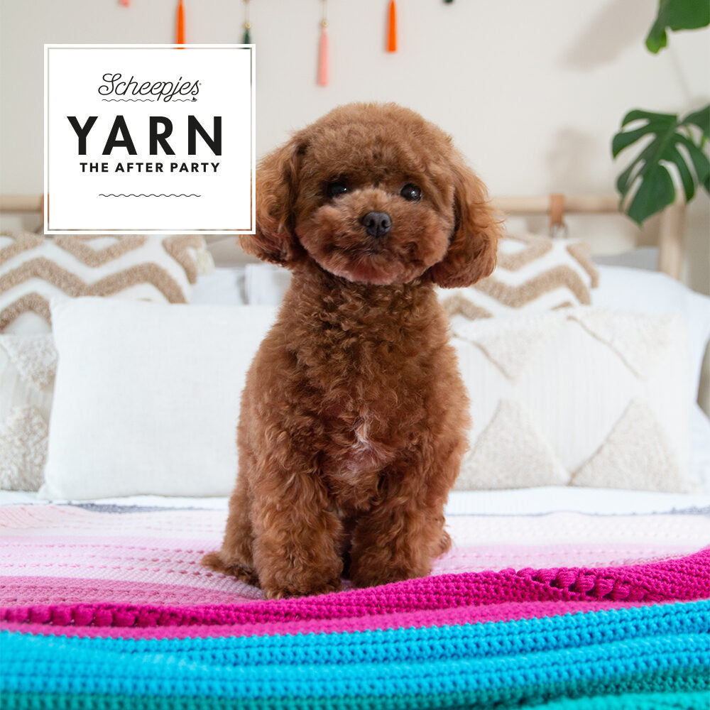 YARN - The After Party 201 - Sugar Pop Throw Organicon