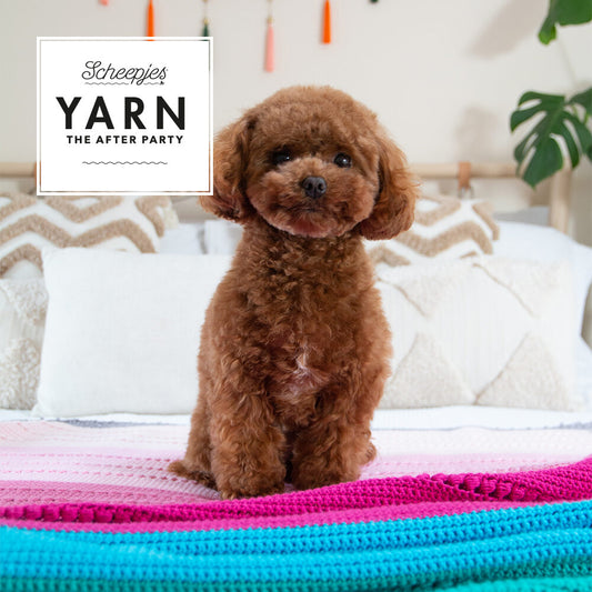 YARN - The After Party 201 - Sugar Pop Throw Organicon