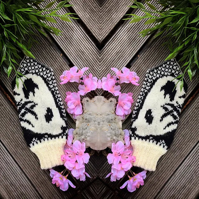 Da Xiong Mao Mittens